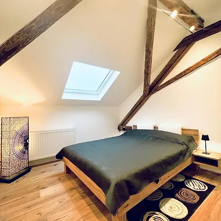 Rebenblick Landau in der Pfalz